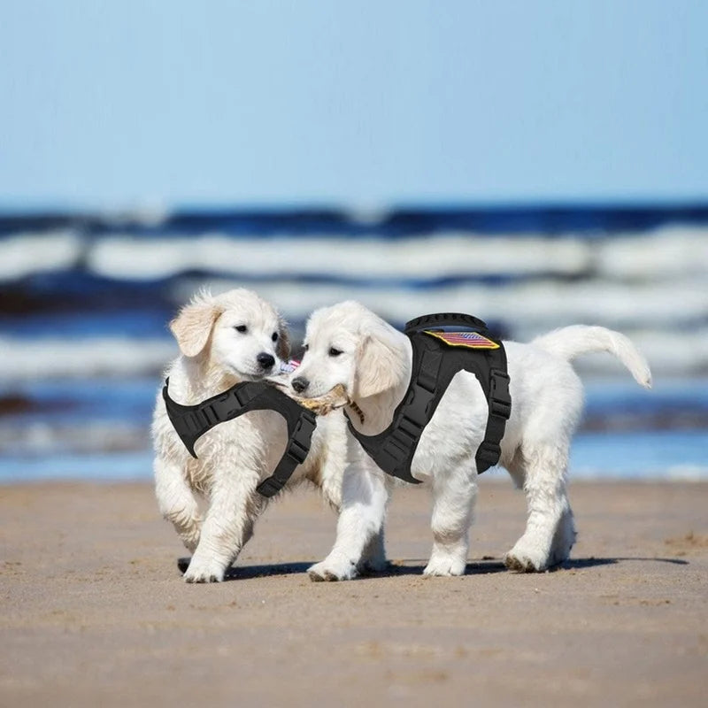 H1458dab6b29d479b8d72970c9fceae95d