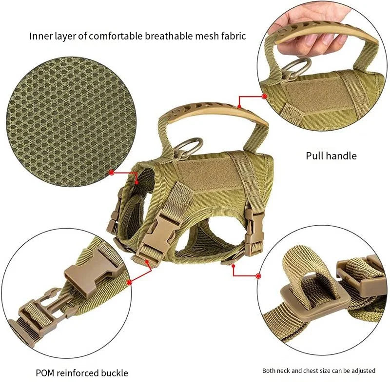 S15f21b372aff461d883a0f61692e08273