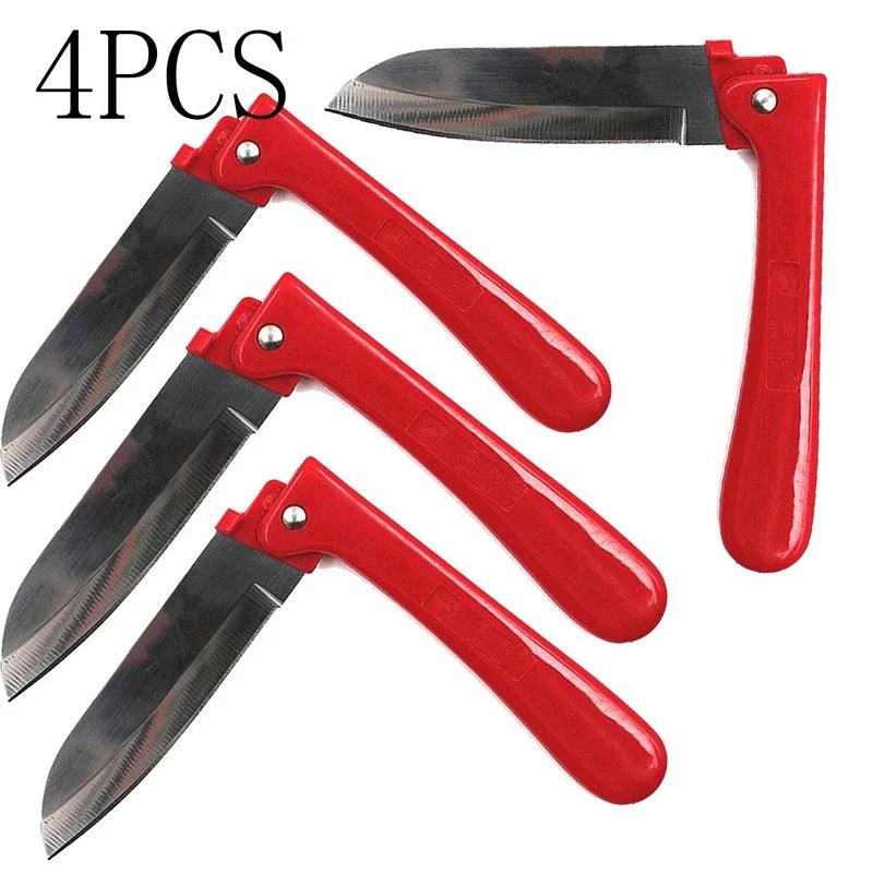 S27751c85a82d44bca8e135220a7806cbB