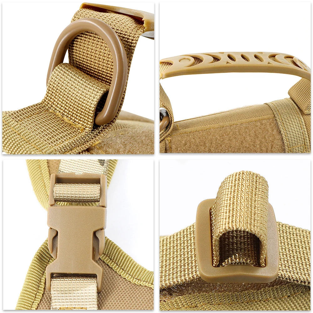 S3e49f0db41ac4b6fb0fa01a54be629a9v