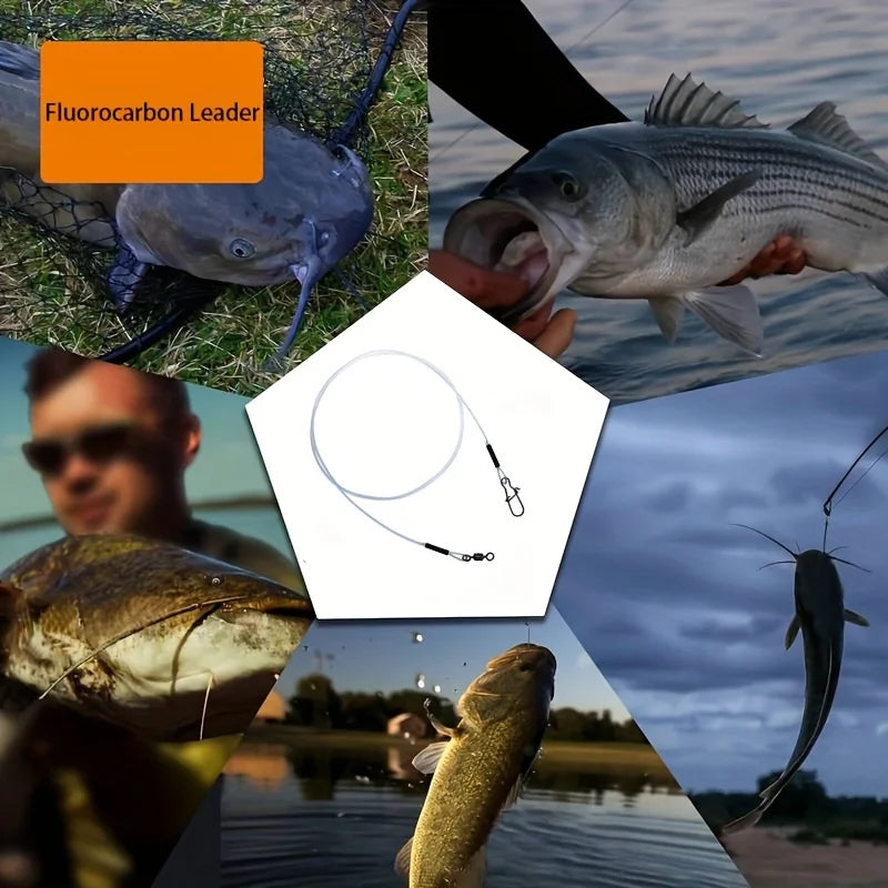 S6ef0190d215c47baaea93741e0584d87n