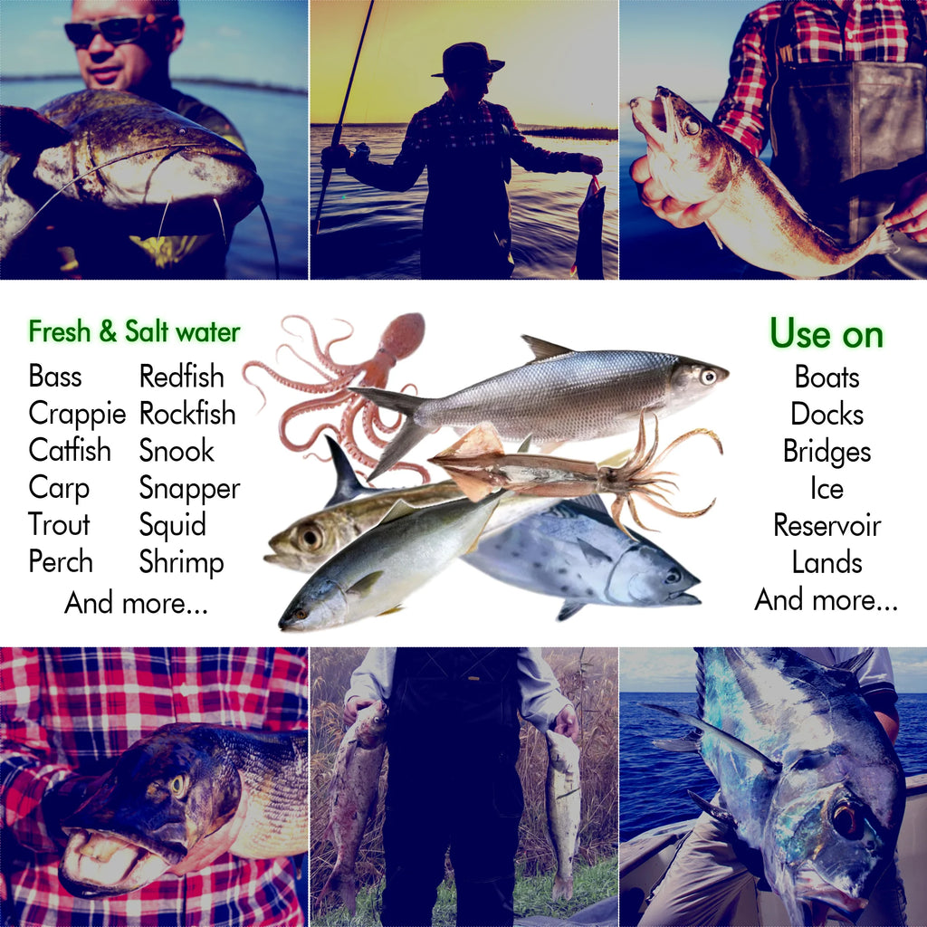 S99b5def069434181894f0b4440f849a4o