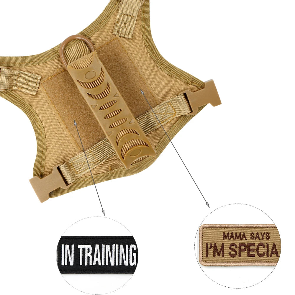 Sb4474aff4ba5499db717da67cfcbfff2u