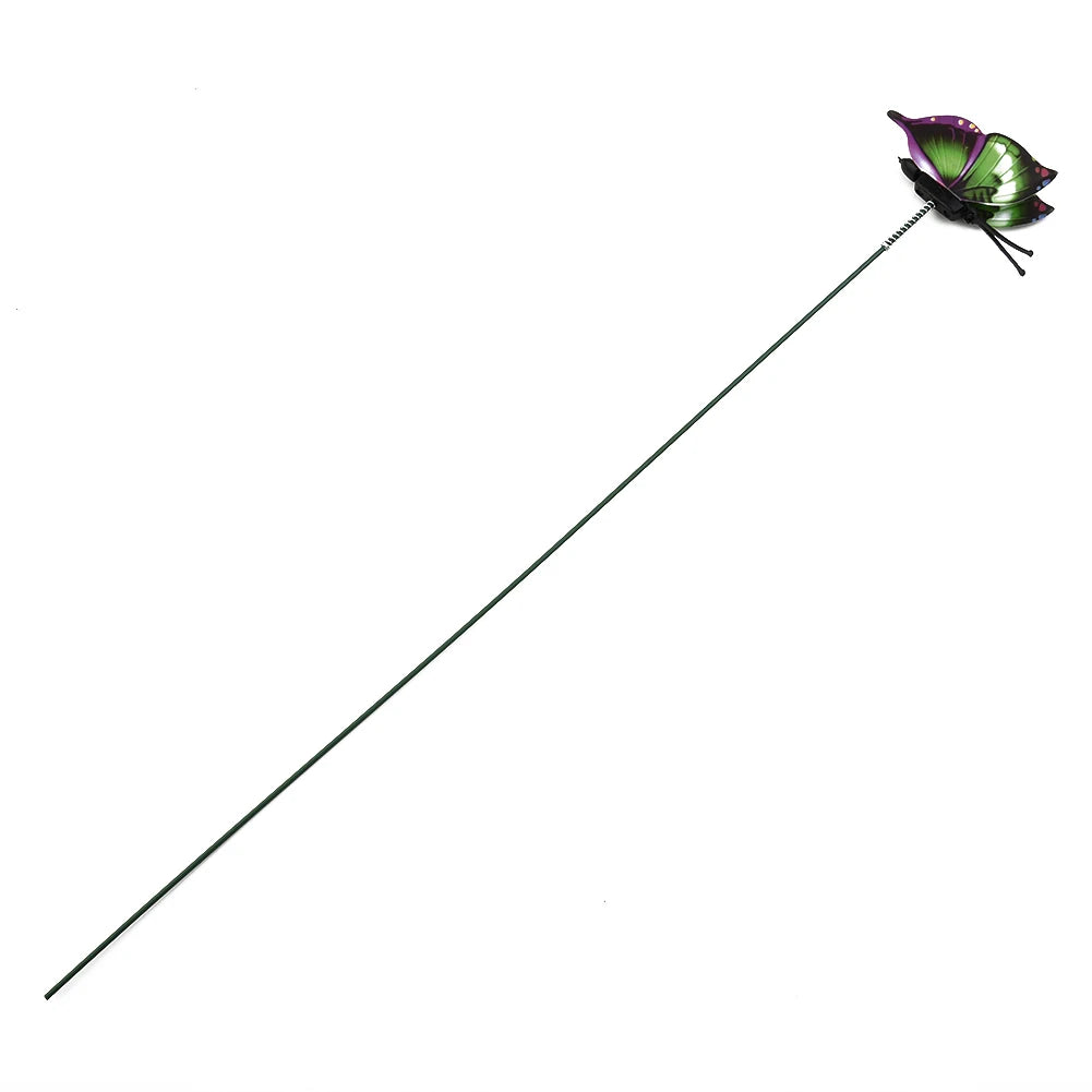 Sdd61d971ec024bd7935ef84e65117a32B