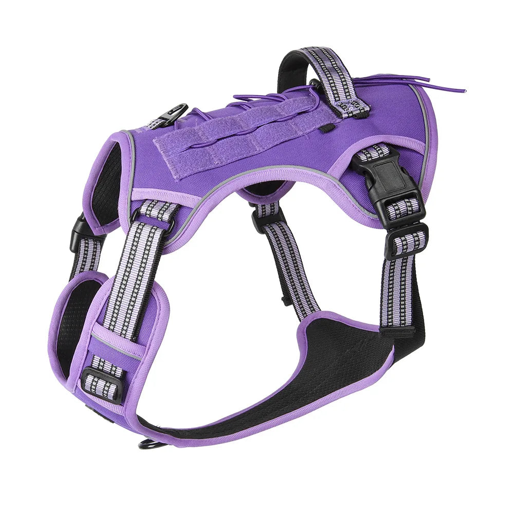 Se1c675ea9c73478894222521ed927d92q