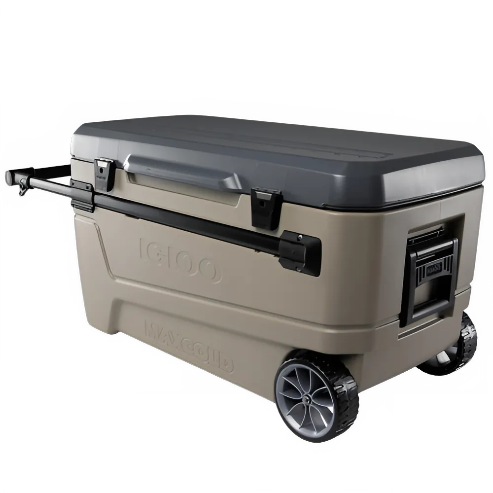 bd1b246f-6fc0-40d6-b9e8-54de4ee4c114