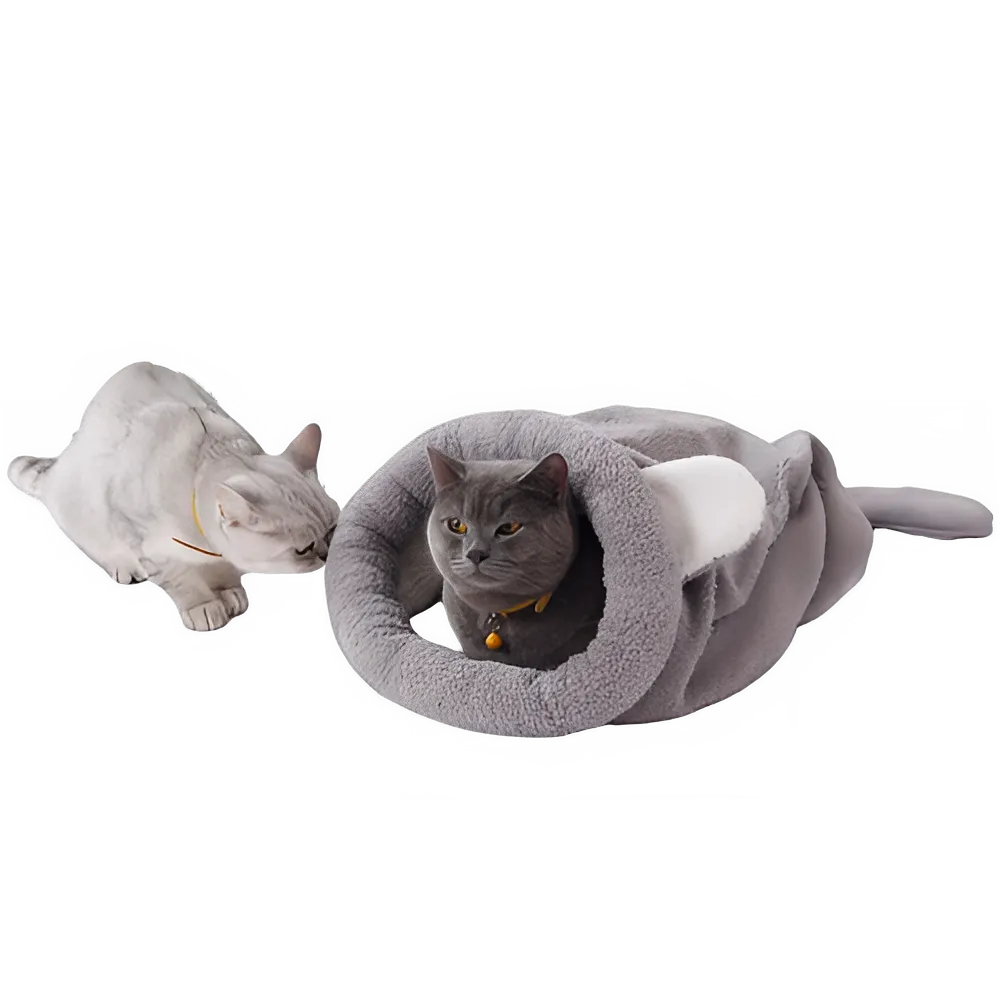 ffb1f527-97fe-4606-bc3f-9fca5b9f7202